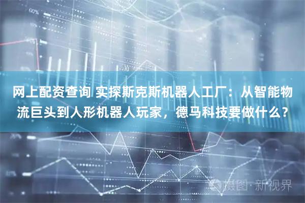 网上配资查询 实探斯克斯机器人工厂：从智能物流巨头到人形机器人玩家，德马科技要做什么？